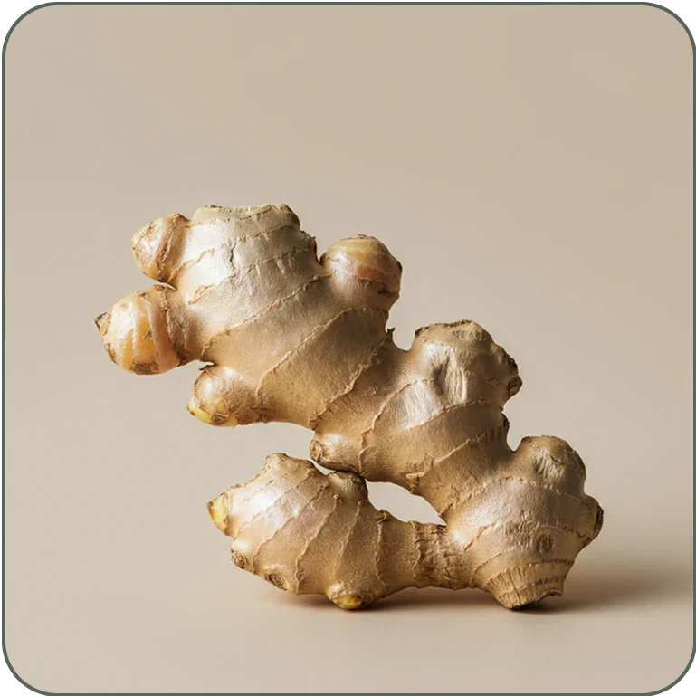 Ginger